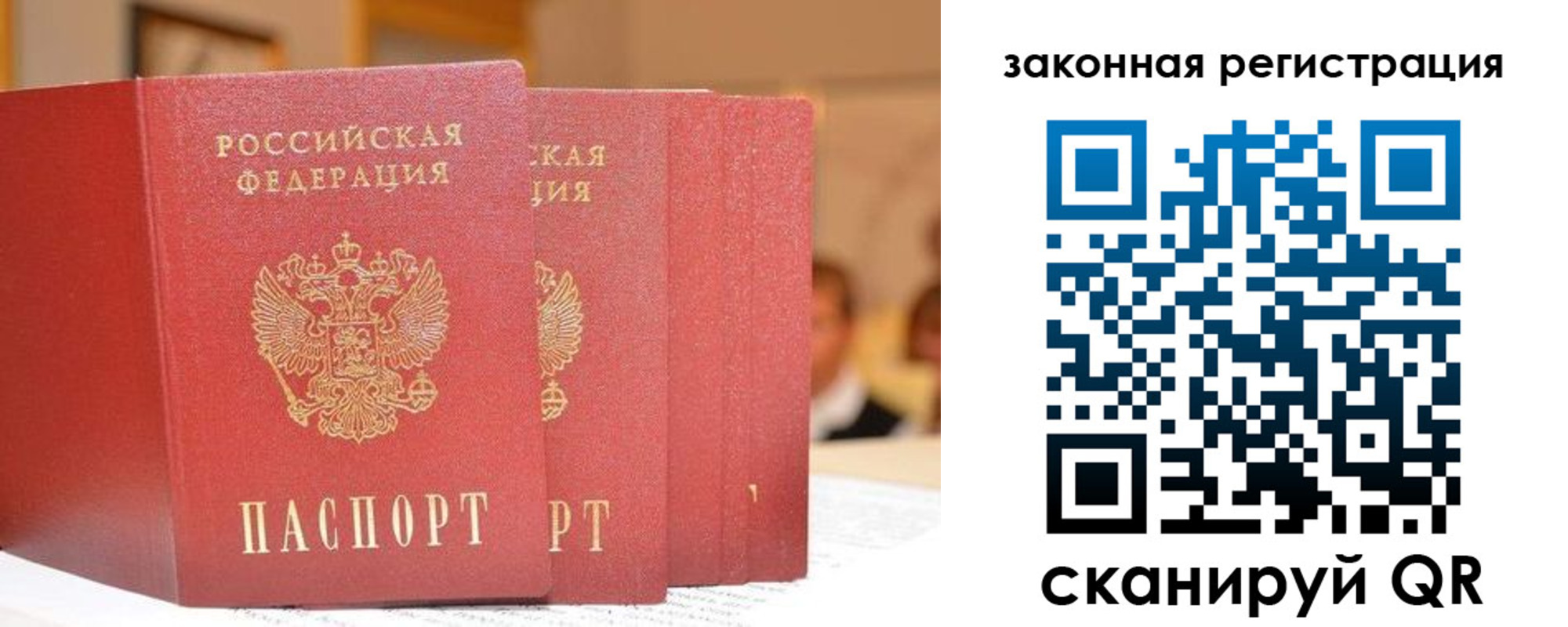прописка поиск в Высоковске